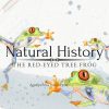 Red-Eyed-Frog-banner-3.jpg