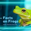 Facts-on-Frogs-Banner.jpg