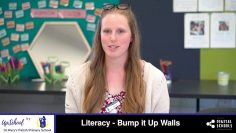 Literacy – Bump it Up Walls