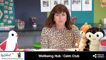 Wellbeing Hub – Calm Club
